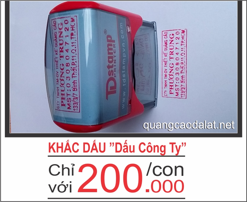 dau cong ty